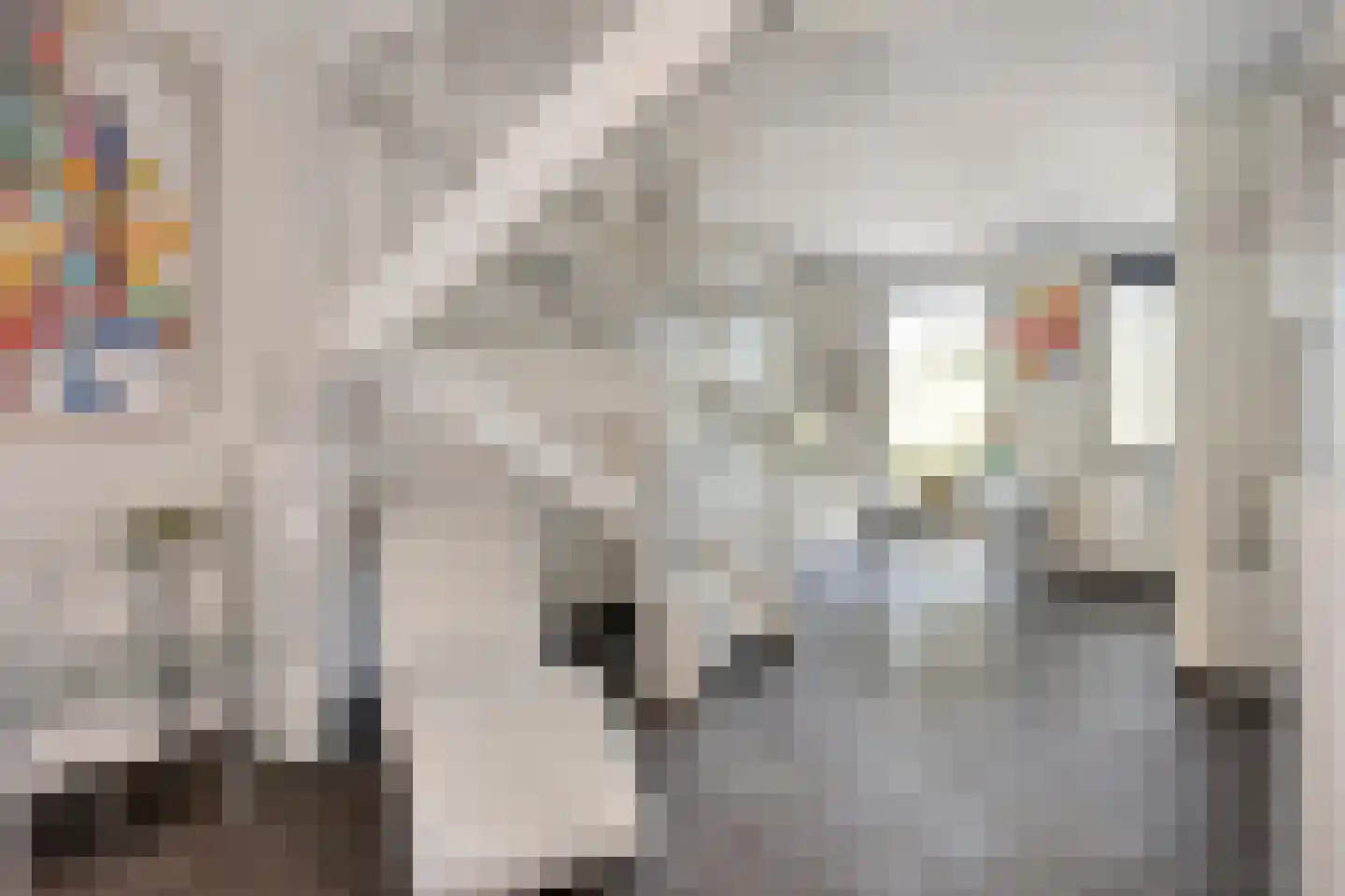 Dirkjespeerstraat 20 Zuidoostbeemster thumbnail 18