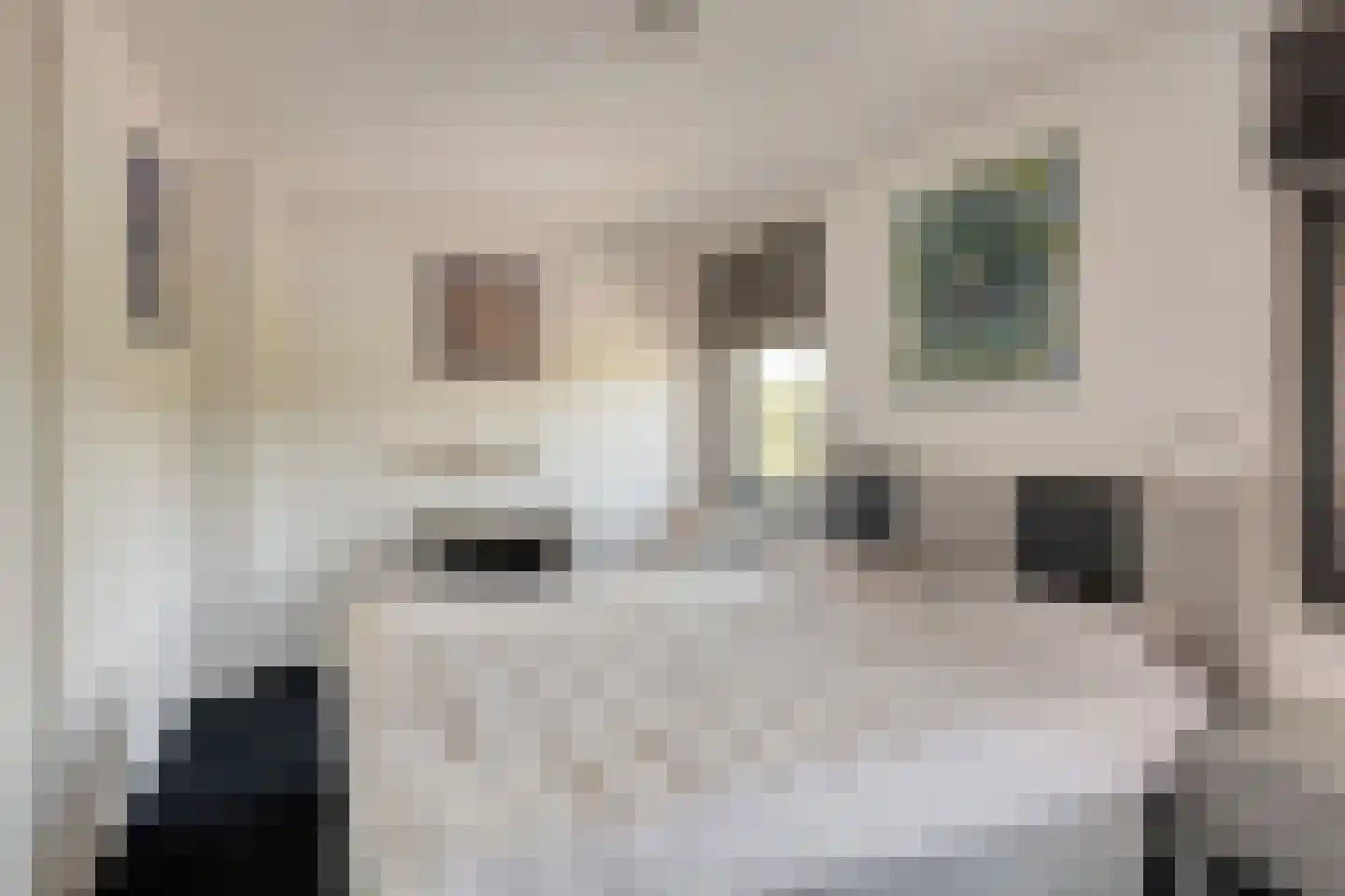 Dirkjespeerstraat 20 Zuidoostbeemster thumbnail 26