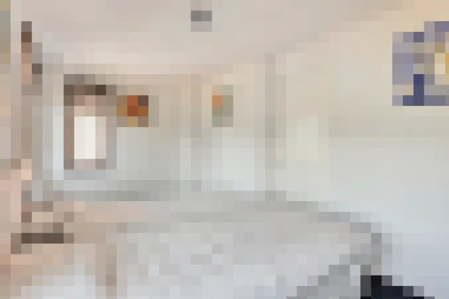 Dirkjespeerstraat 20 Zuidoostbeemster thumbnail 27