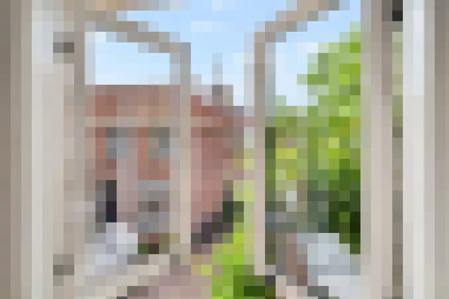 Dirklangendwarsstraat 12 Delft thumbnail 34