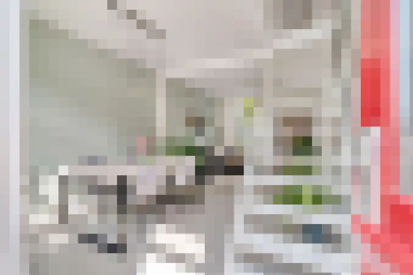 Dirklangendwarsstraat 12 Delft thumbnail 6