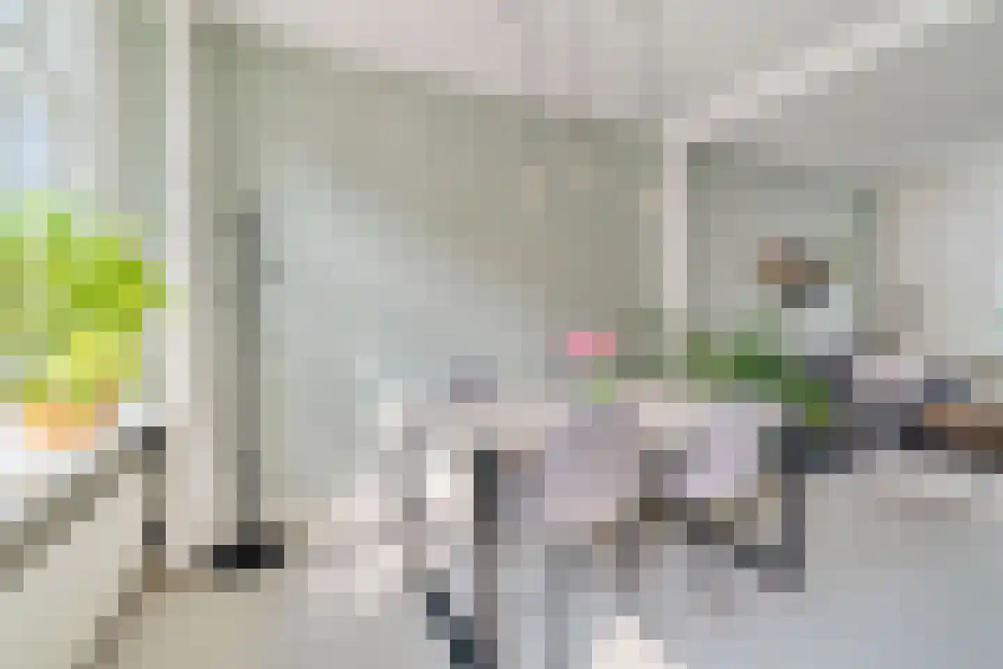 Dirklangendwarsstraat 12 Delft thumbnail 7