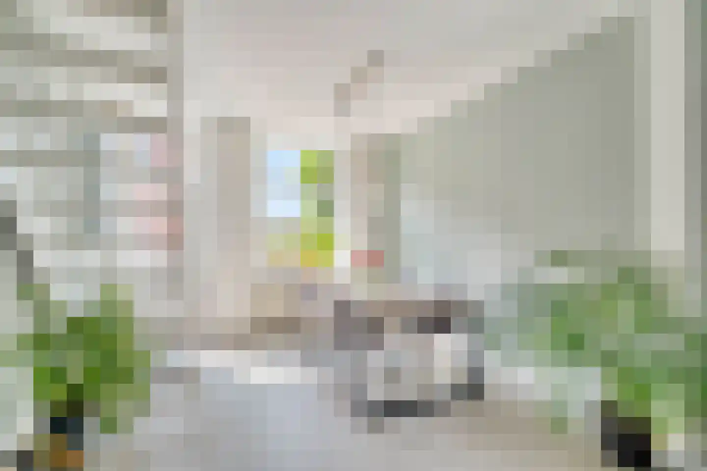 Dirklangendwarsstraat 12 Delft thumbnail 8