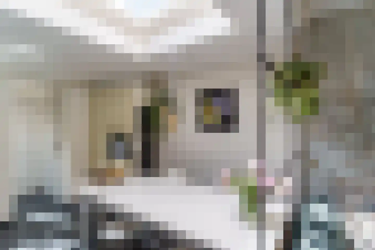 Dirklangendwarsstraat 27 Delft thumbnail 11