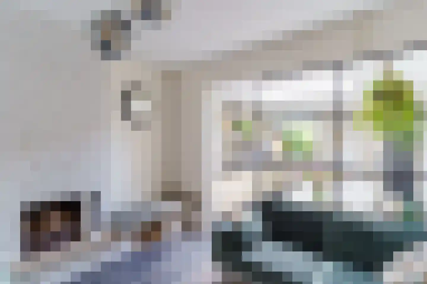 Dirklangendwarsstraat 27 Delft thumbnail 9