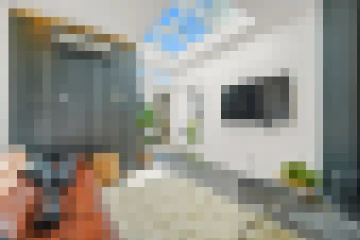 Dirklangendwarsstraat 29 Delft thumbnail 7