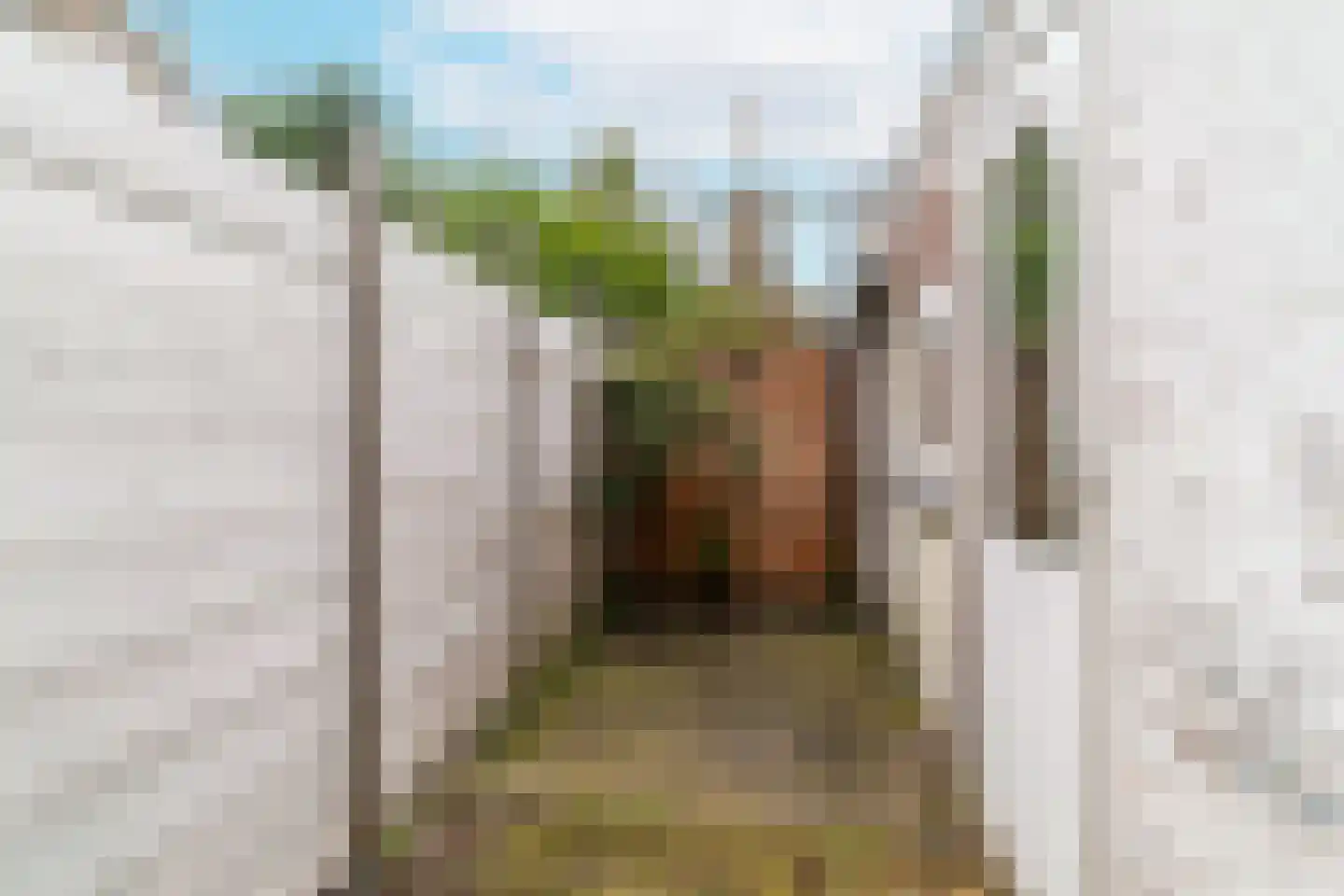 Dirklangendwarsstraat 5 Delft thumbnail 4