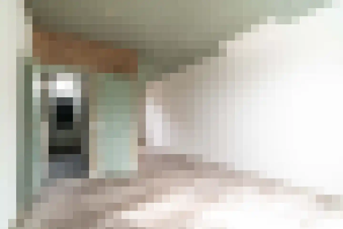 Dirklangendwarsstraat 5 Delft thumbnail 9
