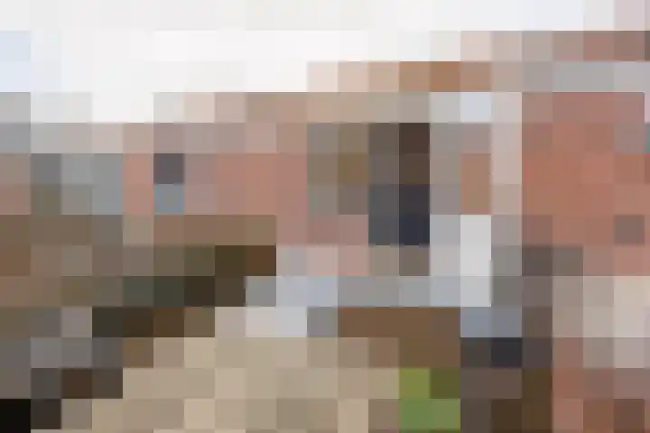 Dirklangendwarsstraat 6 Delft thumbnail 22