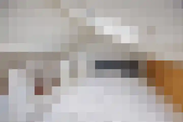 Dirklangendwarsstraat 6 Delft thumbnail 31