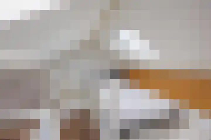 Dirklangendwarsstraat 6 Delft thumbnail 32
