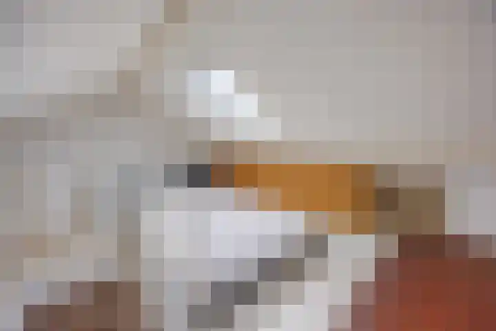 Dirklangendwarsstraat 6 Delft thumbnail 33