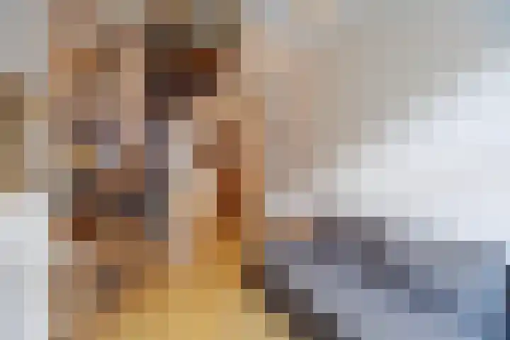 Dirklangendwarsstraat 6 Delft thumbnail 5