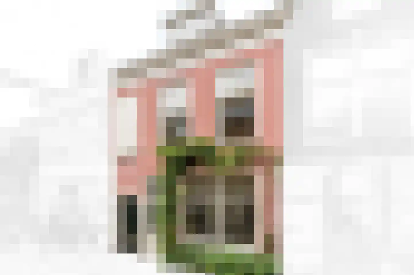 Dirklangenstraat 18 Delft foto 2