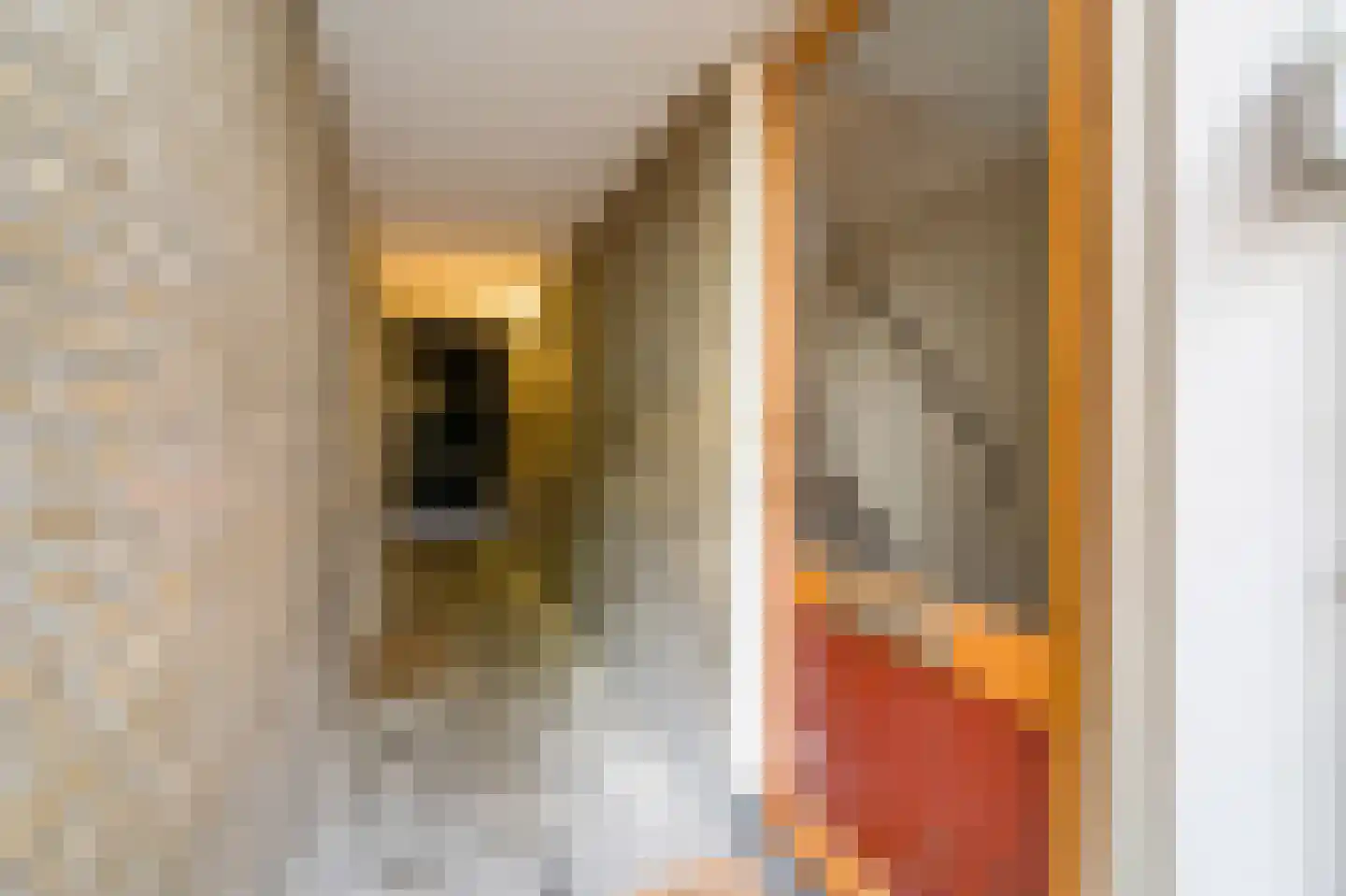 Dirklangenstraat 18 Delft thumbnail 6