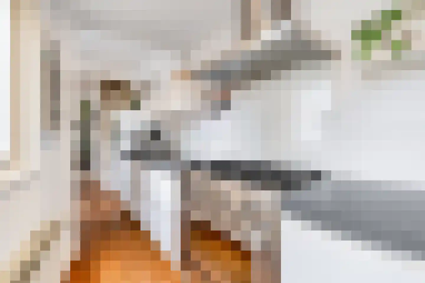 Dirklangenstraat 32 Delft thumbnail 17