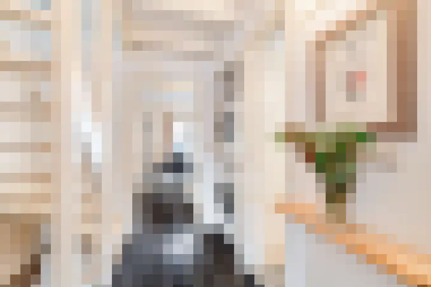 Dirklangenstraat 32 Delft thumbnail 26