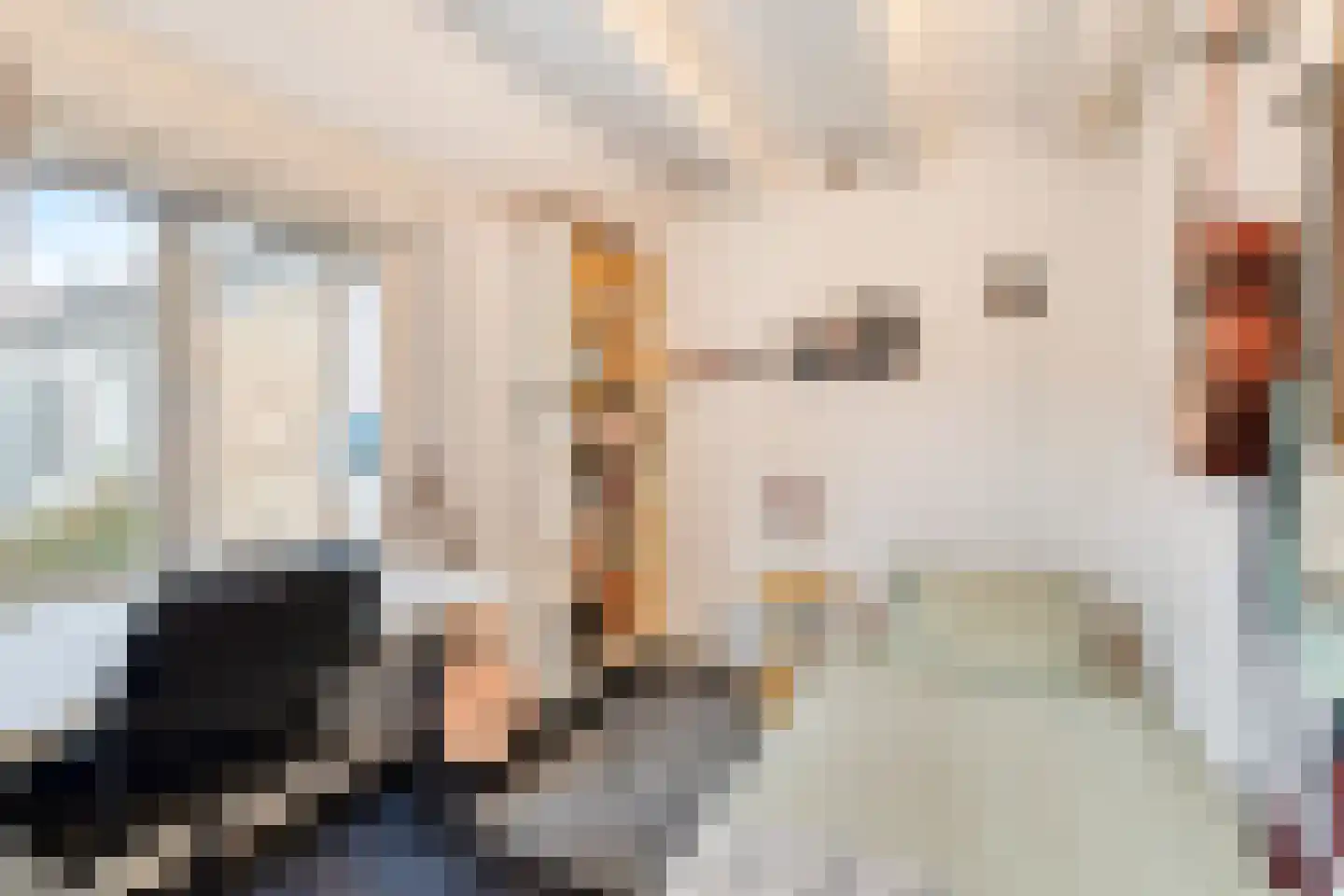 Dirklangenstraat 32 Delft thumbnail 35