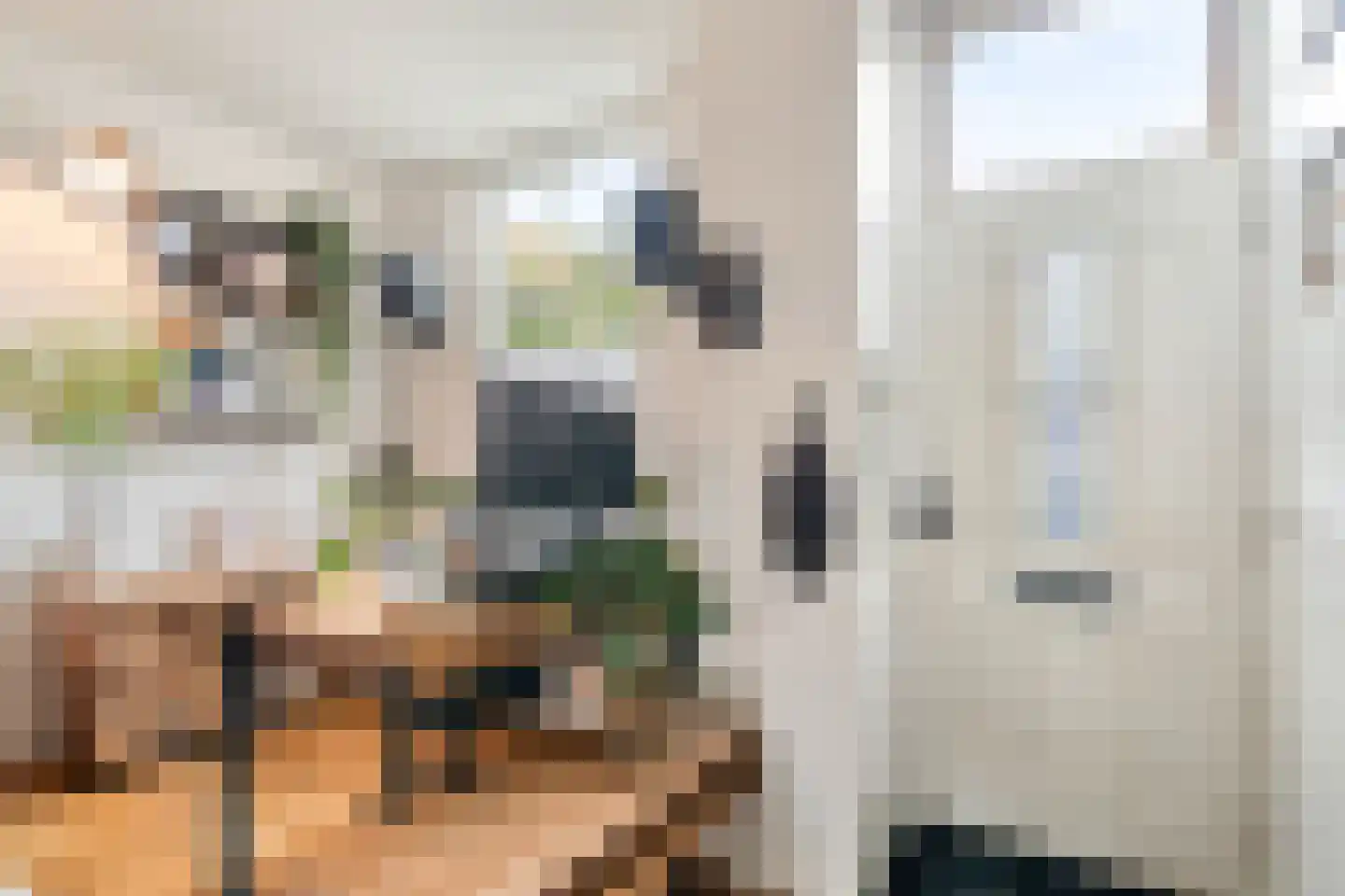 Dirklangenstraat 32 Delft thumbnail 7