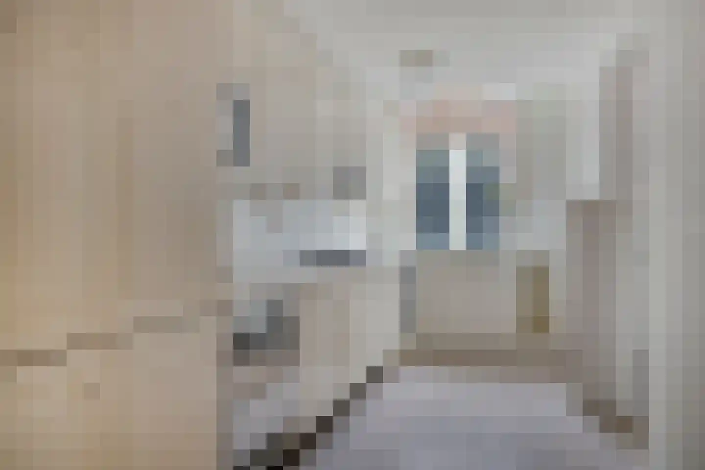 Dirklangenstraat 49 Delft thumbnail 6