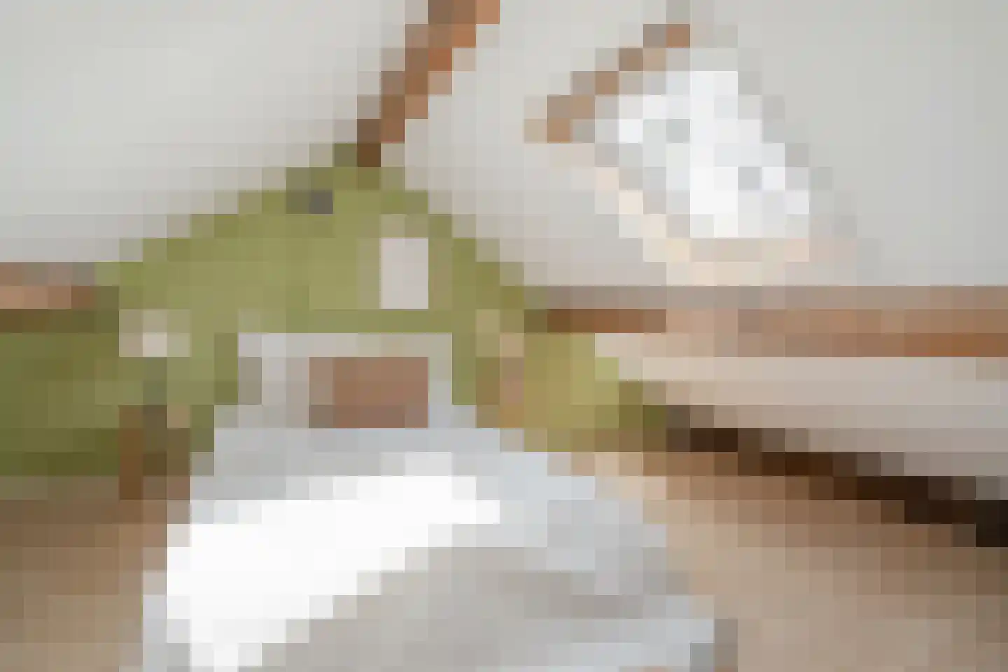 Dirklangenstraat 62 Delft thumbnail 28