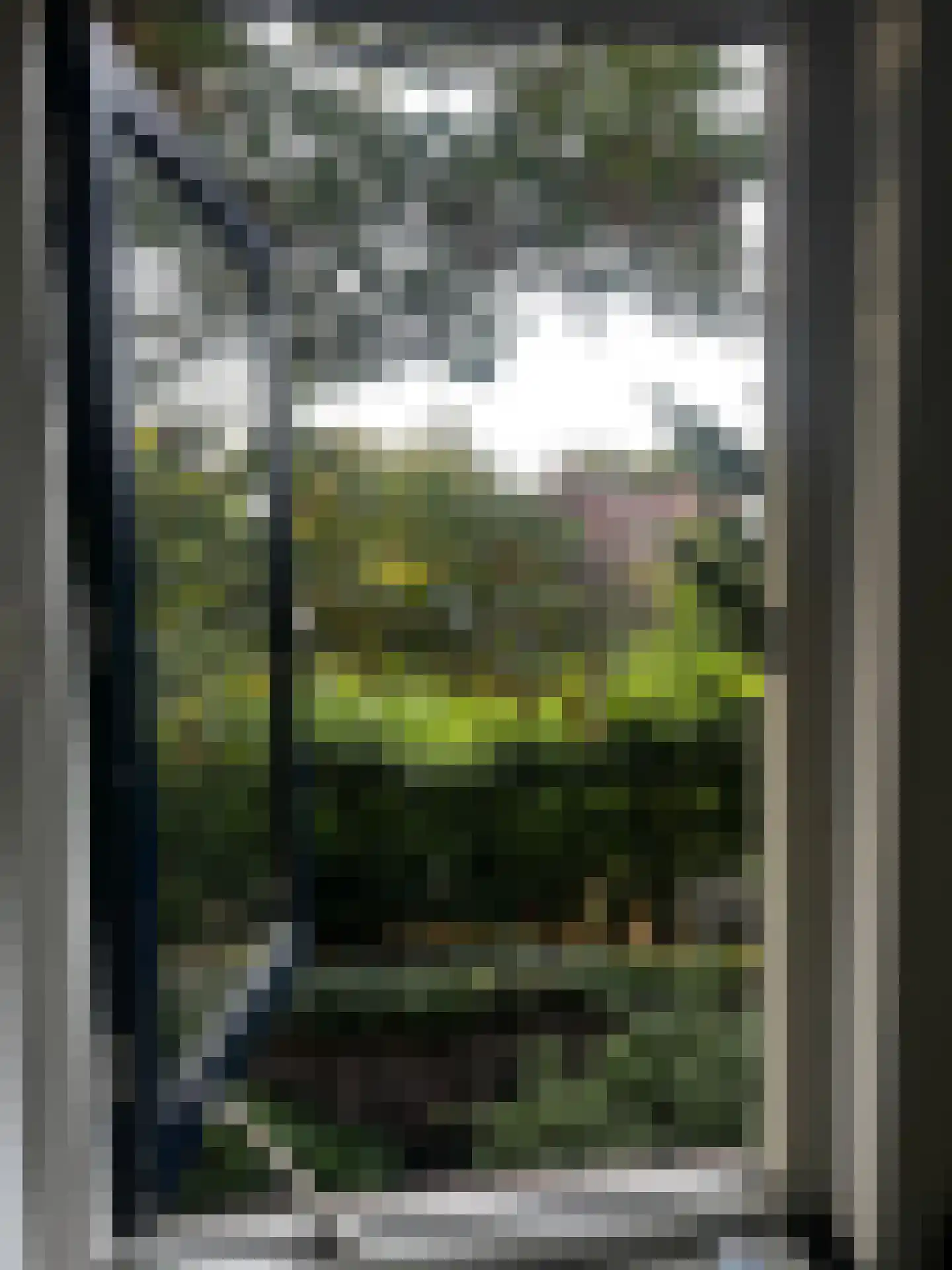 Dirklangenstraat 98 A Delft thumbnail 5
