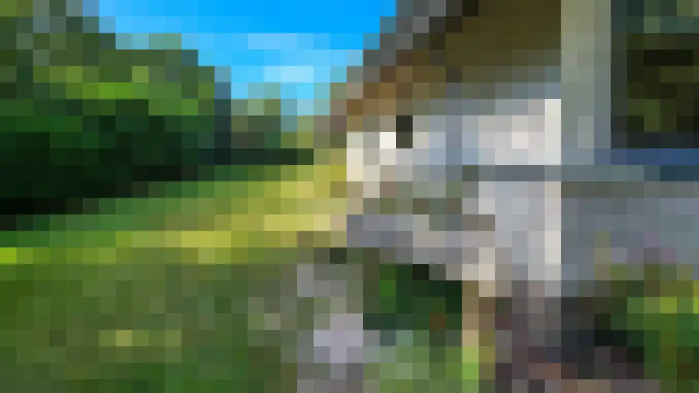 Dirkmansweg 1 Formerum thumbnail 26