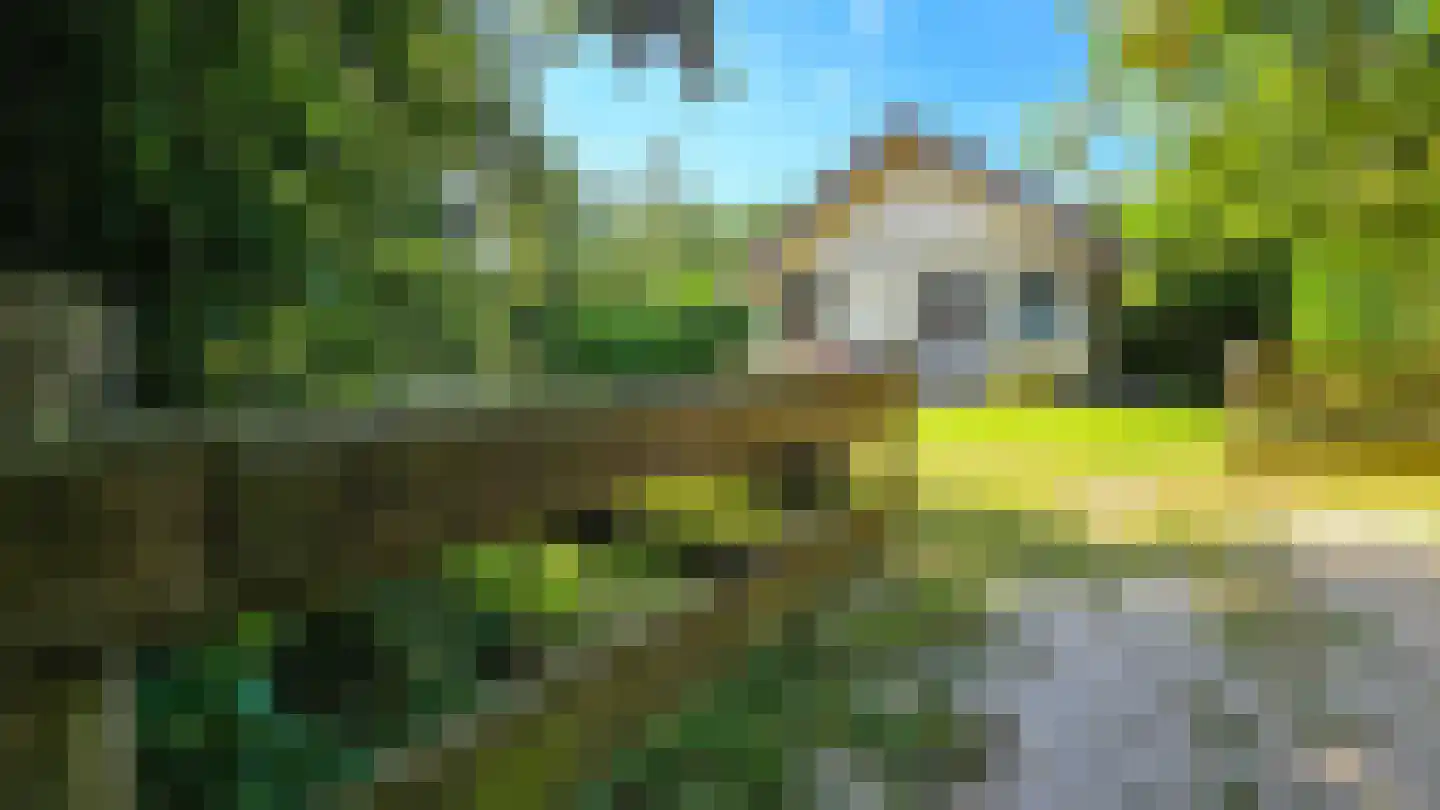 Dirkmansweg 1 Formerum thumbnail 30