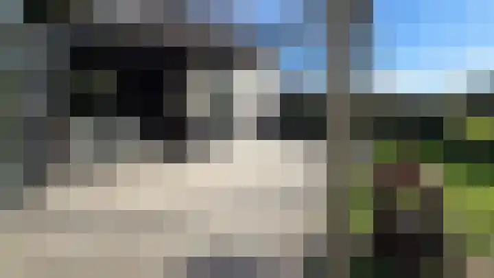 Dirkmansweg 13 10 Formerum thumbnail 17