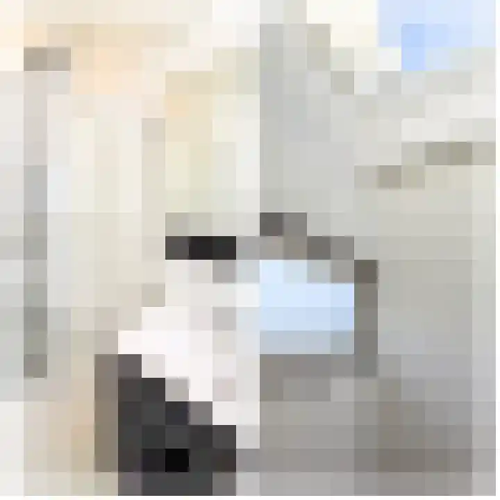Dirkmansweg 13 10 Formerum thumbnail 26