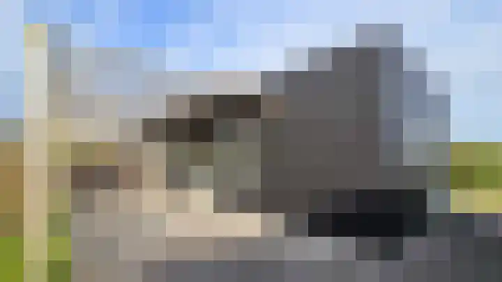 Dirkmansweg 13 10 Formerum thumbnail 27