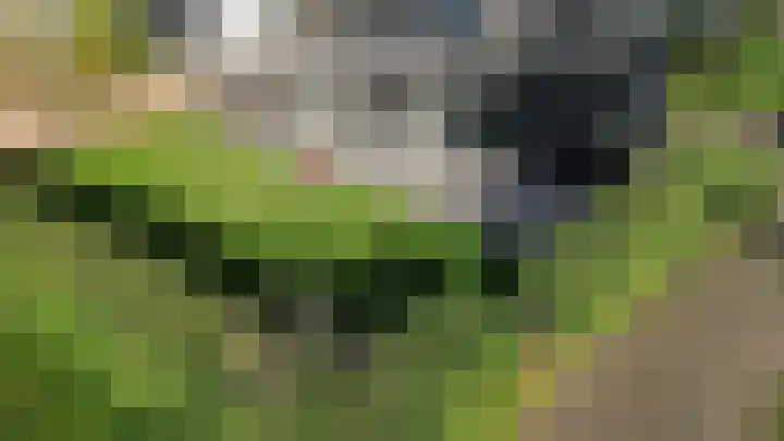 Dirkmansweg 13 10 Formerum thumbnail 4