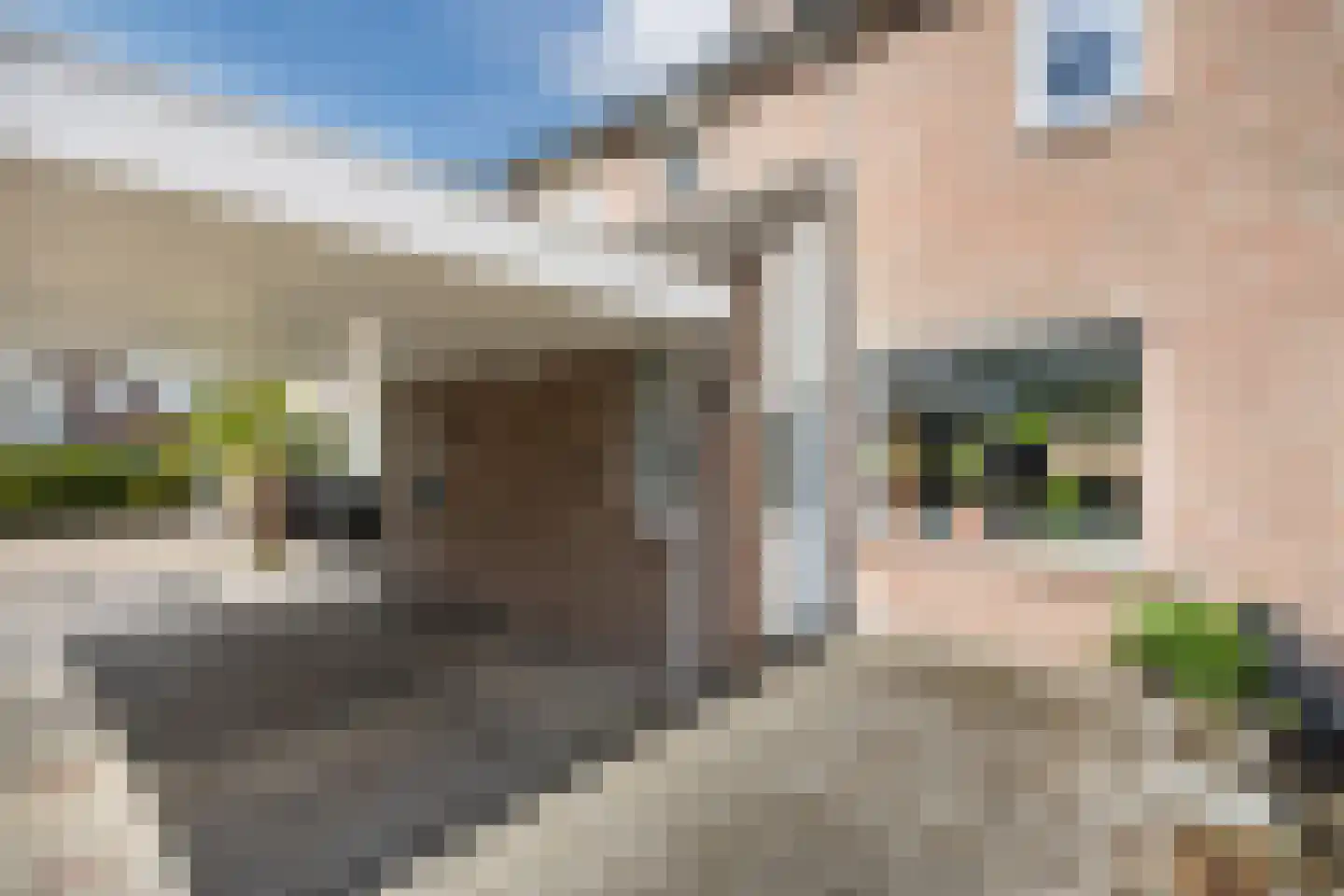 Dirkslandstraat 21 Tilburg thumbnail 39