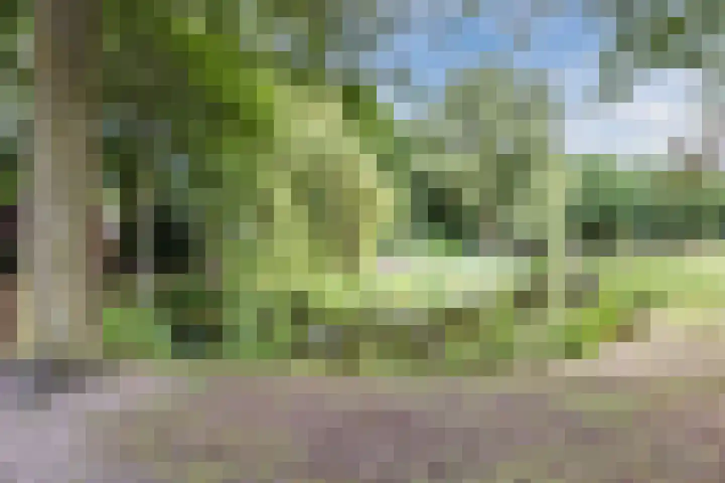 Dirkslandstraat 21 Tilburg thumbnail 41
