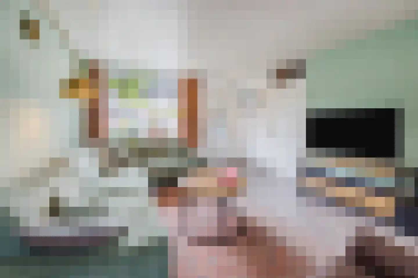 Dirkslandstraat 21 Tilburg thumbnail 6
