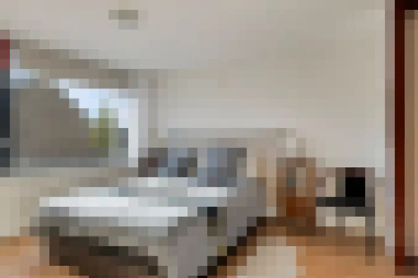 Discuspad 7 Hellevoetsluis thumbnail 13