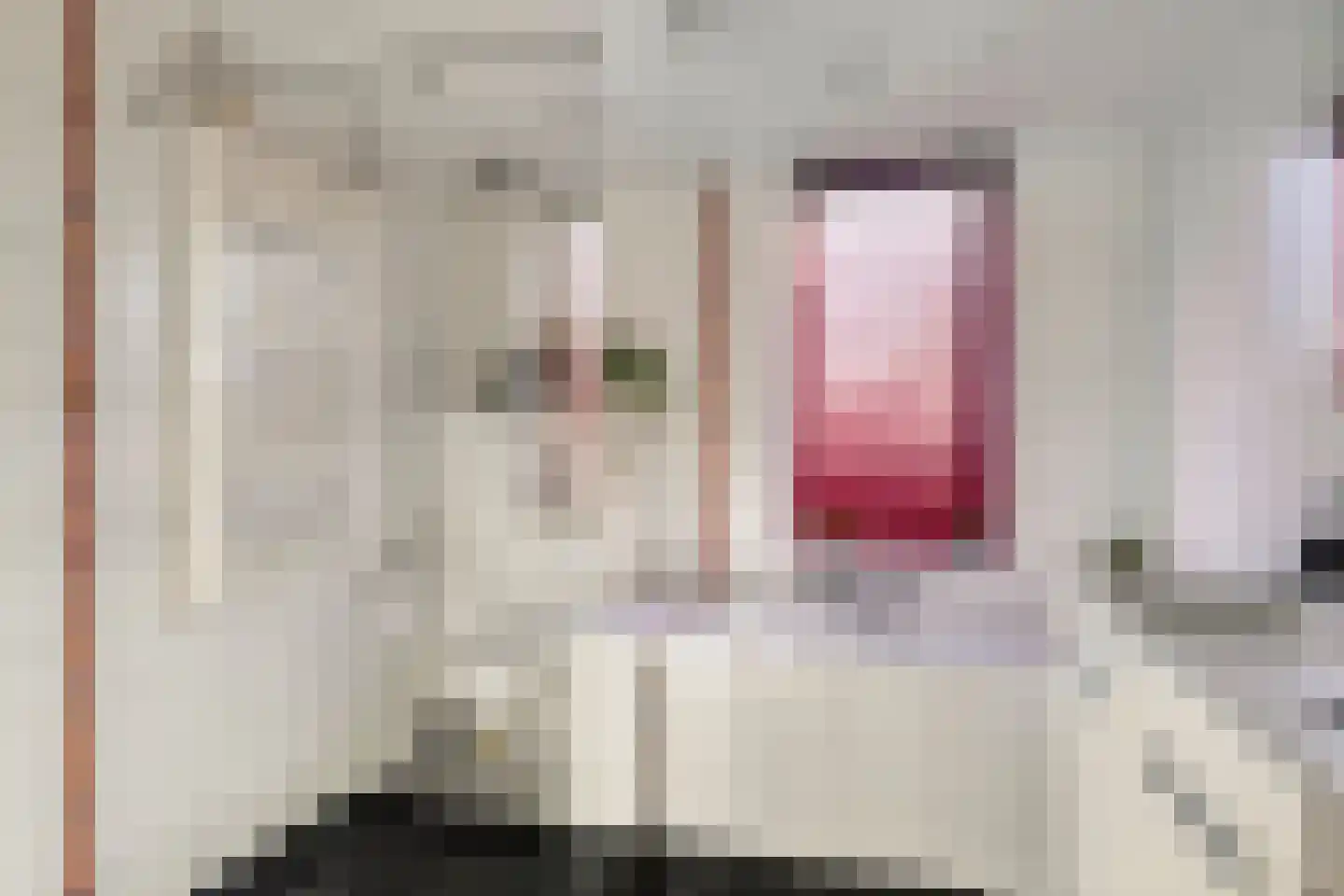 Discuspad 7 Hellevoetsluis thumbnail 16