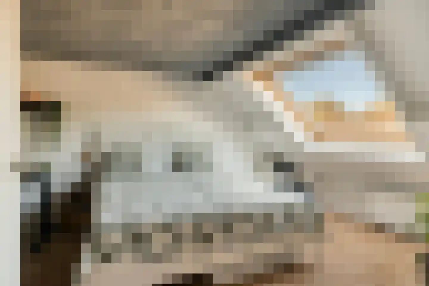 Discuspad 7 Hellevoetsluis thumbnail 20