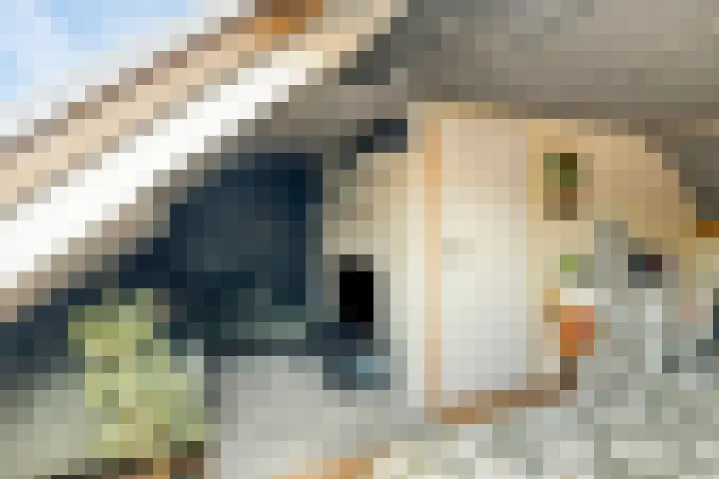 Discuspad 7 Hellevoetsluis thumbnail 23