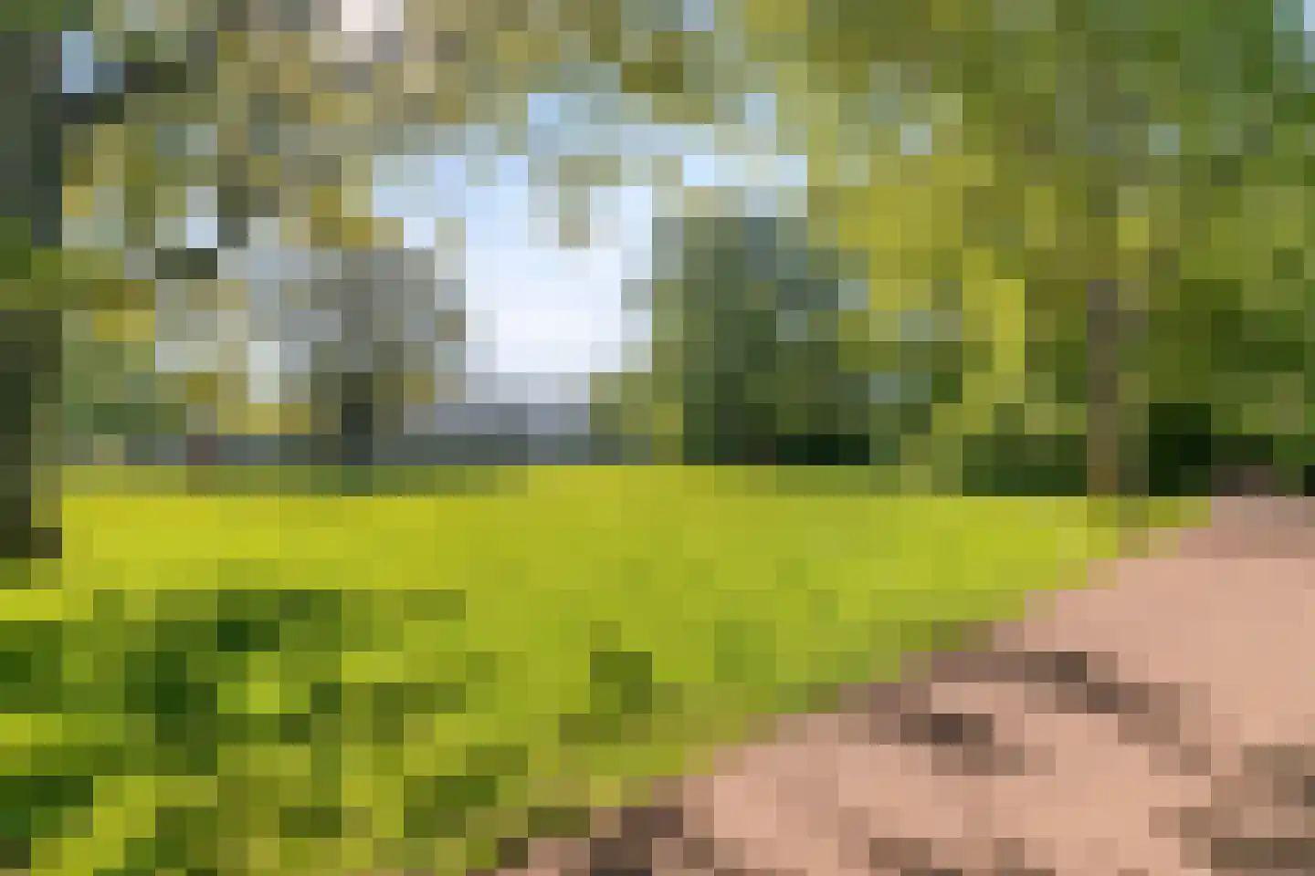 Discuspad 7 Hellevoetsluis thumbnail 31