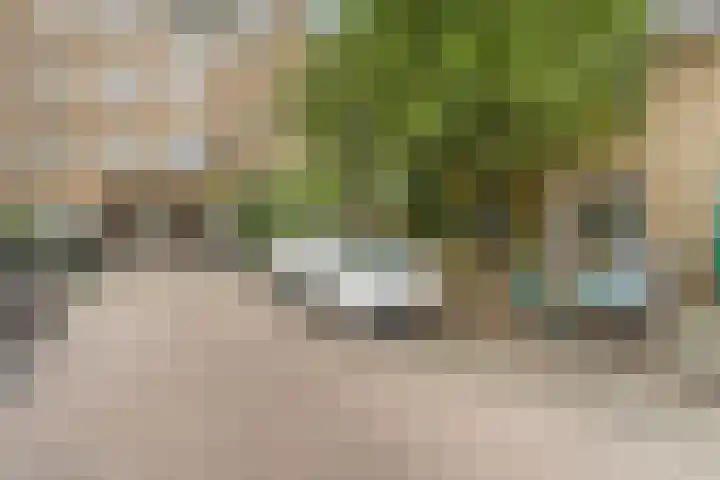 Discusstraat 20 1 Amsterdam thumbnail 21