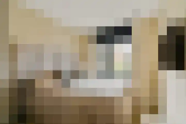 Discusstraat 26 1R Amsterdam thumbnail 11