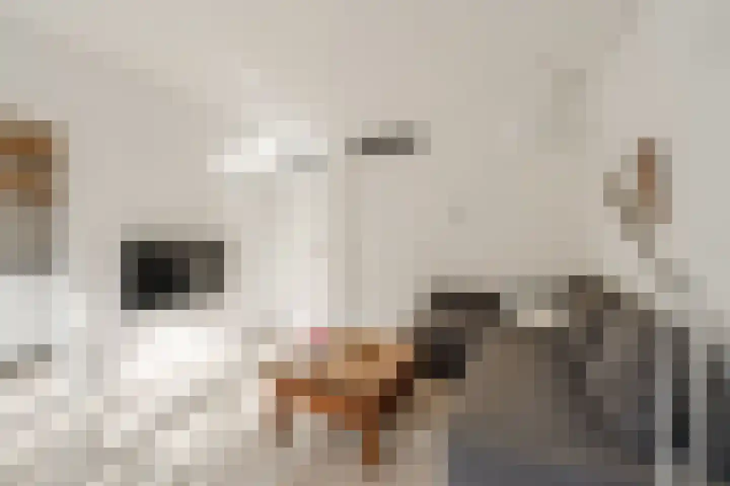 Discusstraat 31 3 Amsterdam thumbnail 13