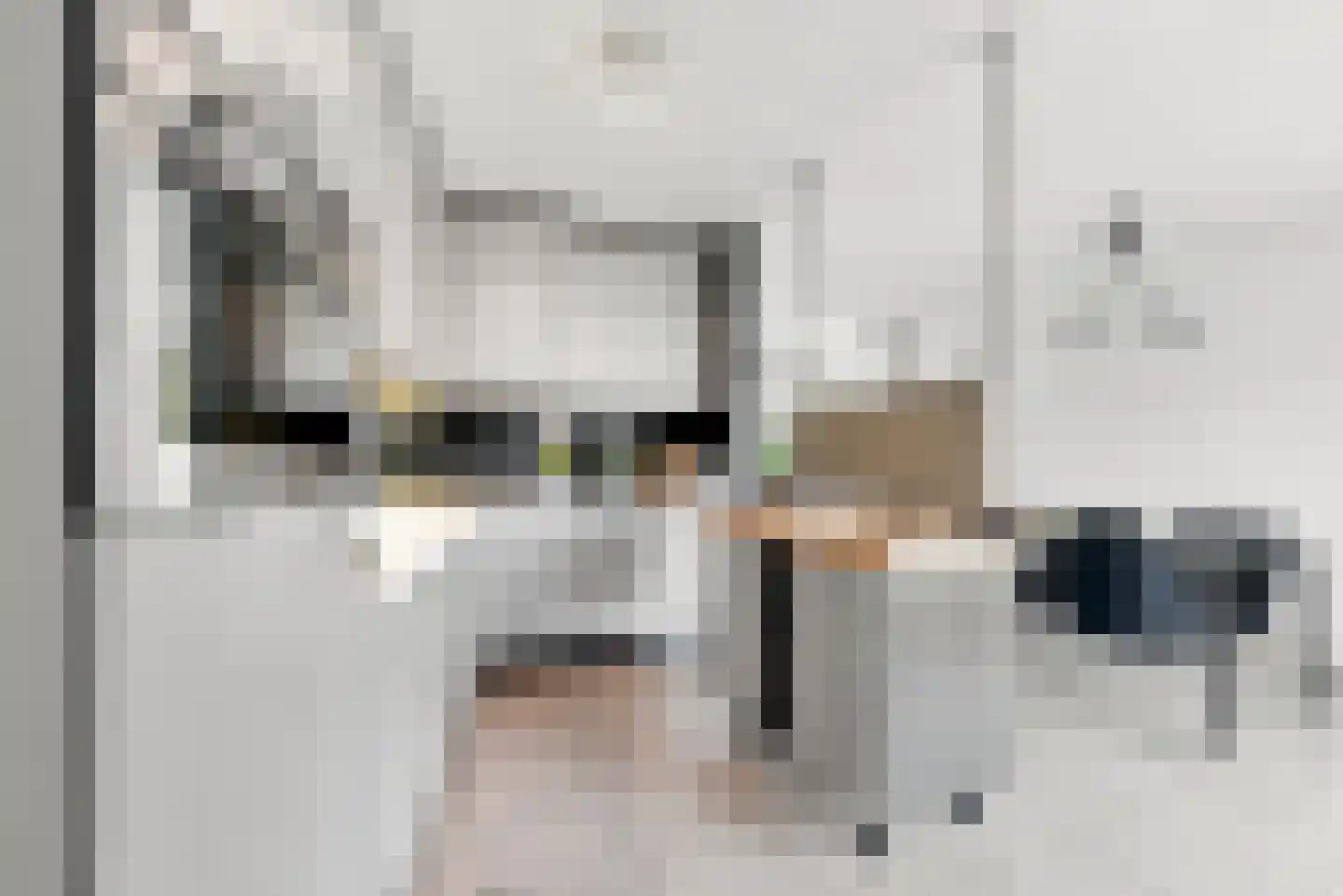 Dishoekseweg 10 Koudekerke thumbnail 10
