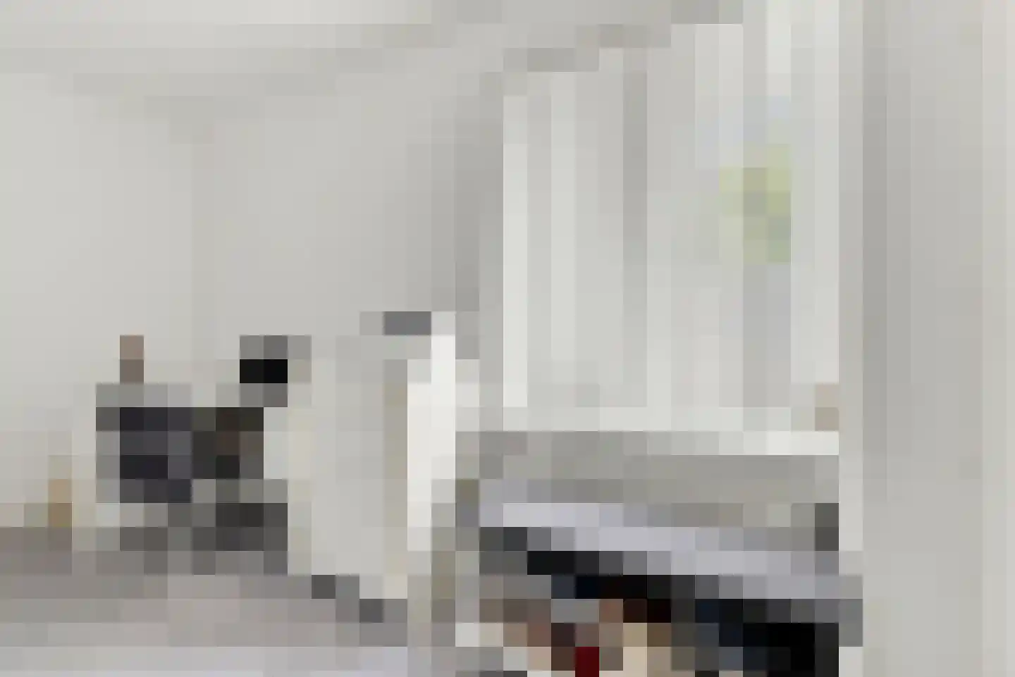 Dishoekseweg 10 Koudekerke thumbnail 18