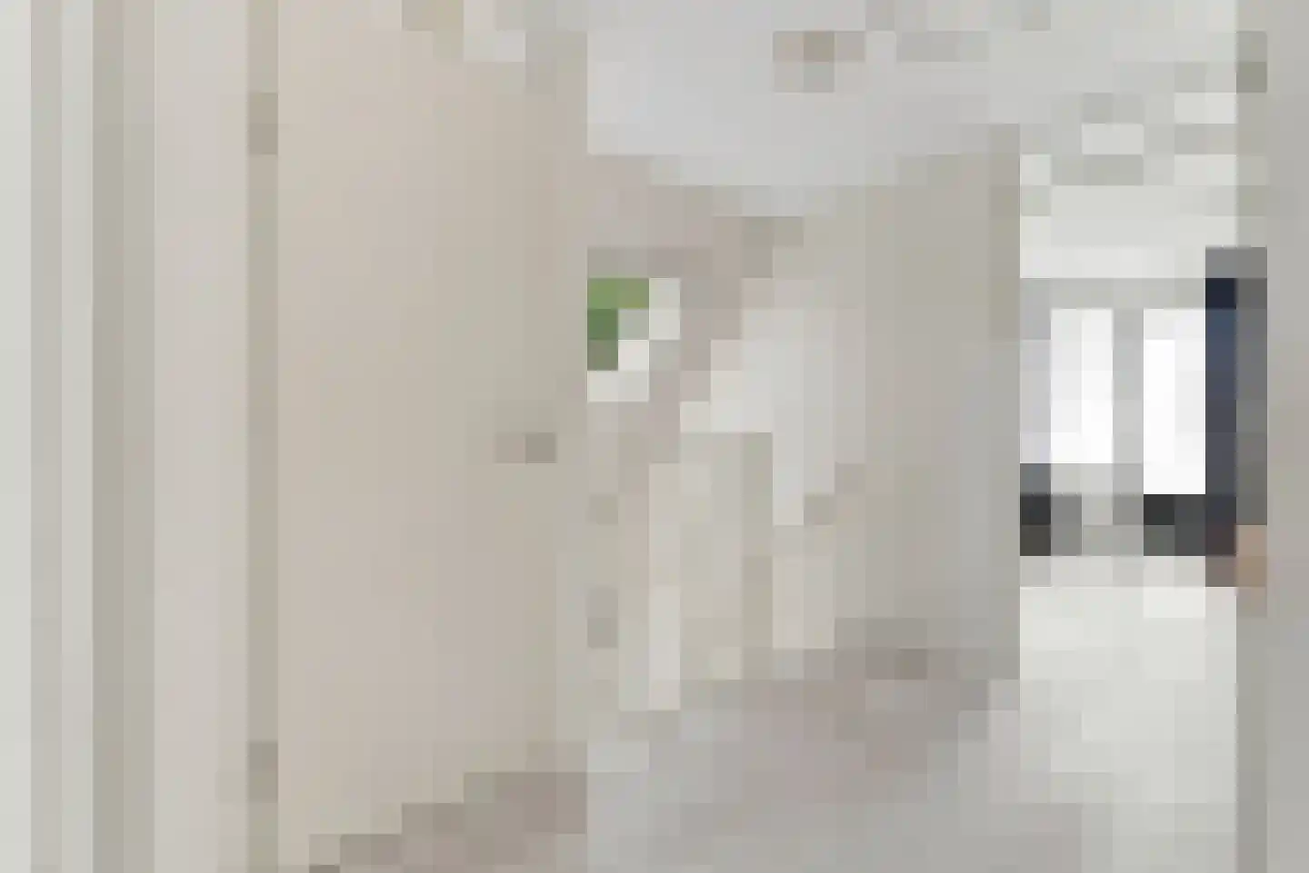 Dishoekseweg 10 Koudekerke thumbnail 19