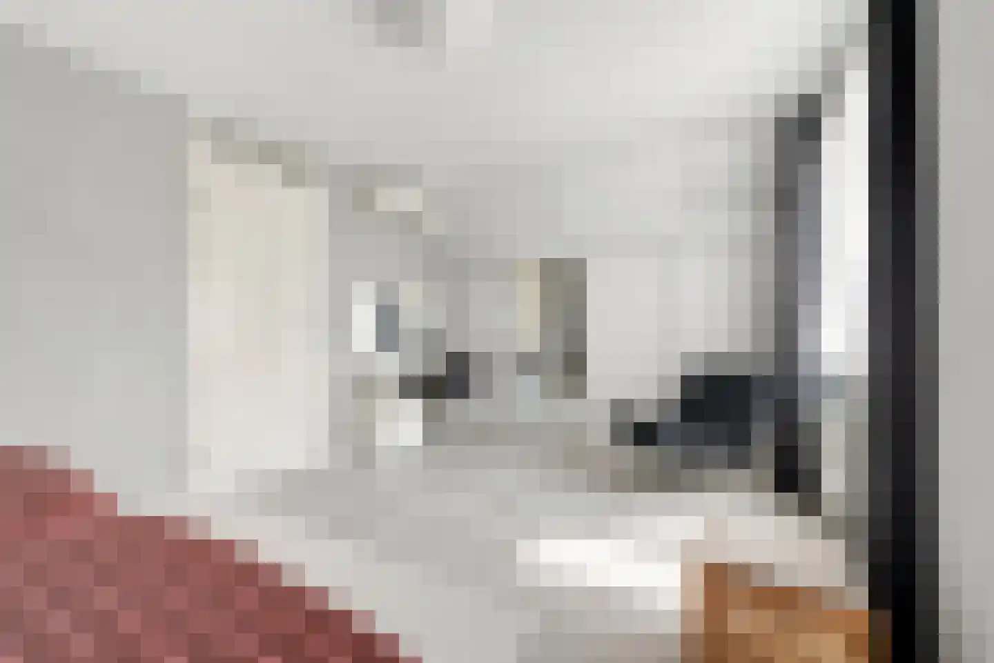 Dishoekseweg 10 Koudekerke thumbnail 23