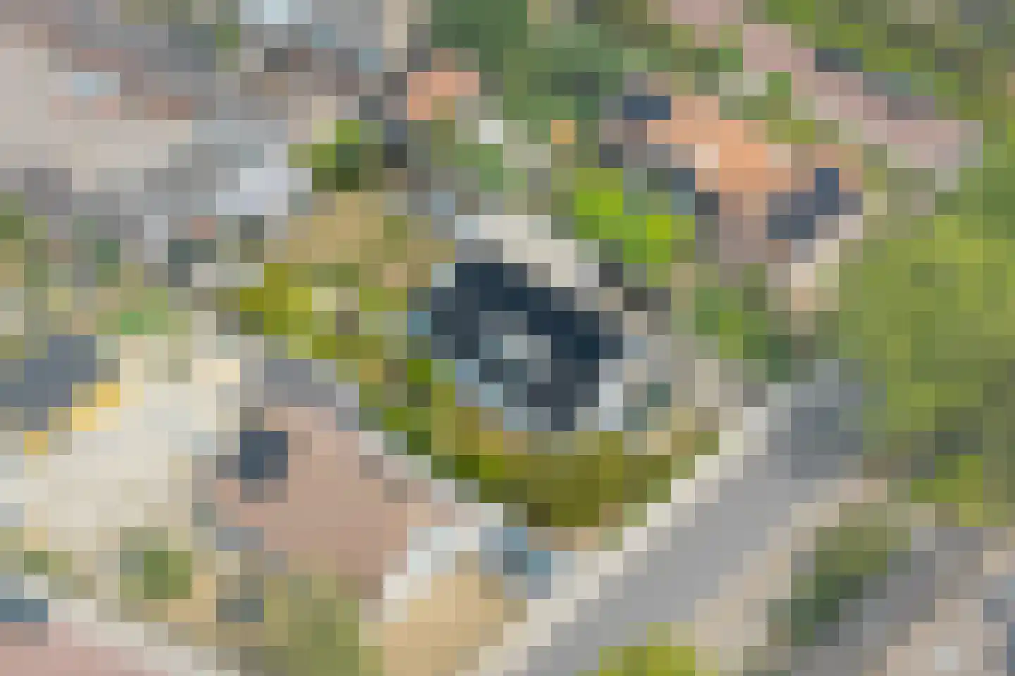 Dishoekseweg 10 Koudekerke thumbnail 32