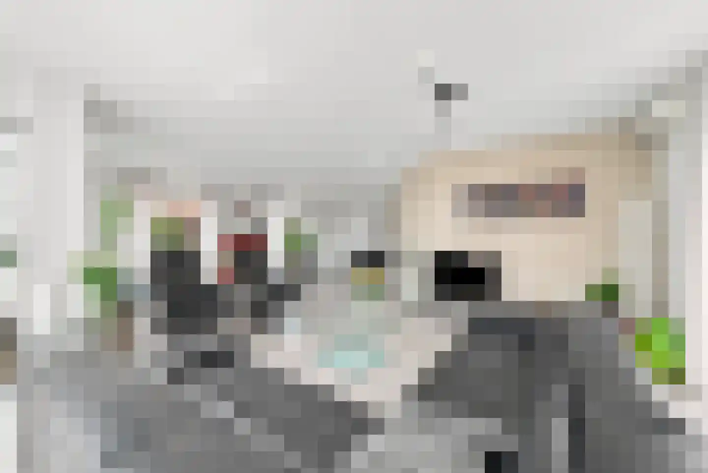 Dishoekseweg 10 Koudekerke thumbnail 5