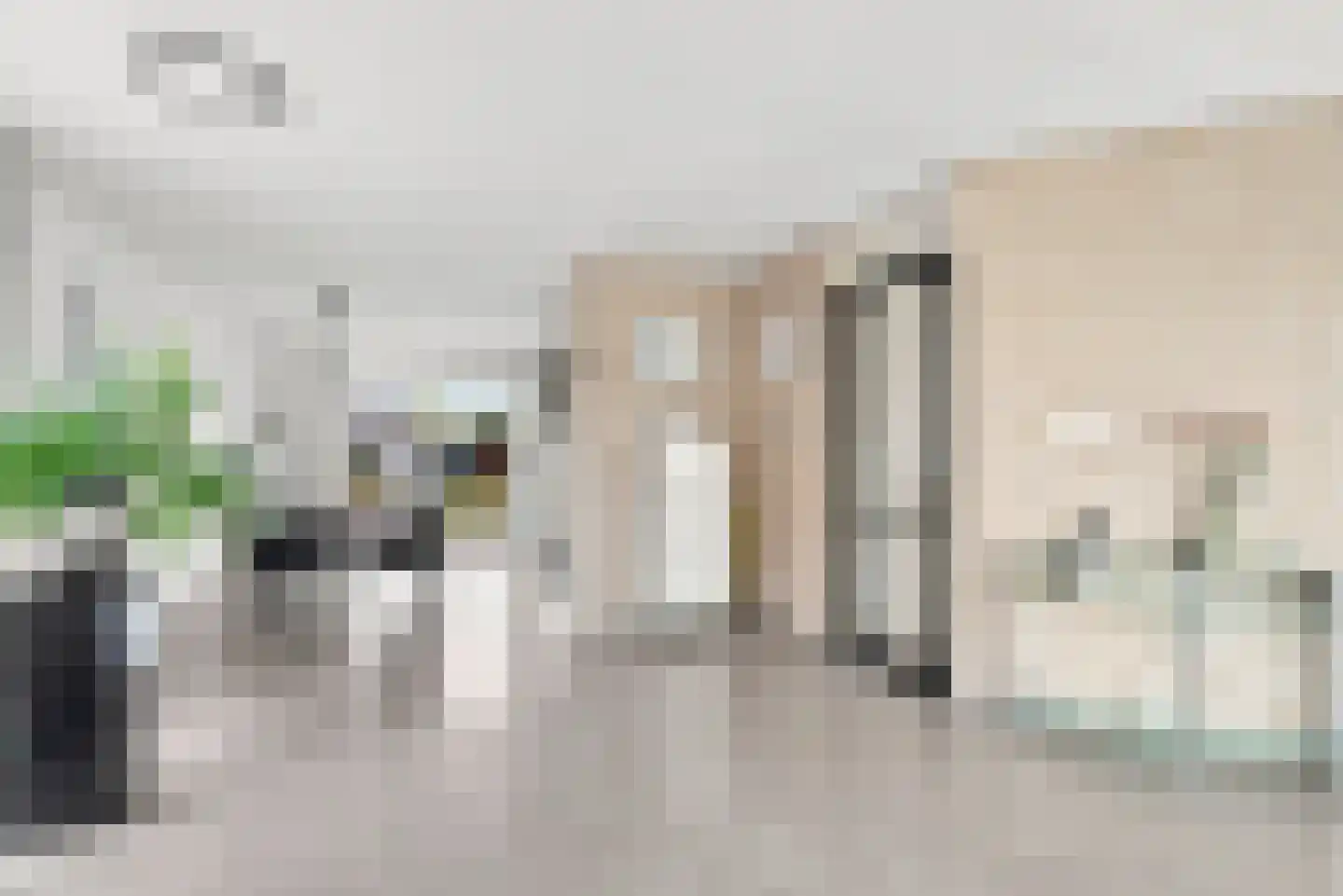 Dishoekseweg 10 Koudekerke thumbnail 7